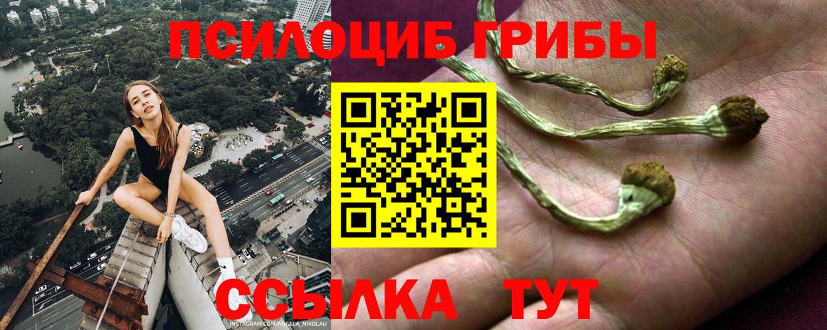 Галлюциногенные грибы MAGIC MUSHROOMS Ишим