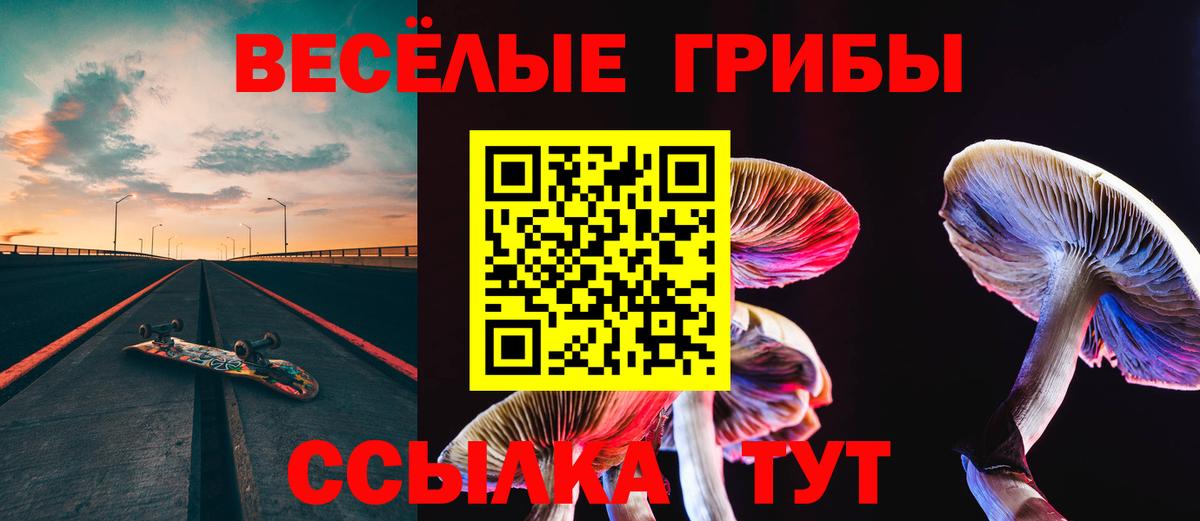 Ишим  цена наркотик  Вход с VPN  Псилоцибиновые грибы MAGIC MUSHROOMS  Галлюциногенные грибы Cubensis 